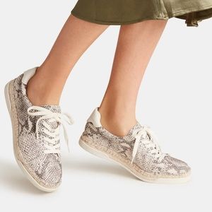 Dolce Vita Maddox Snake Print Leather Sneakers NEW
